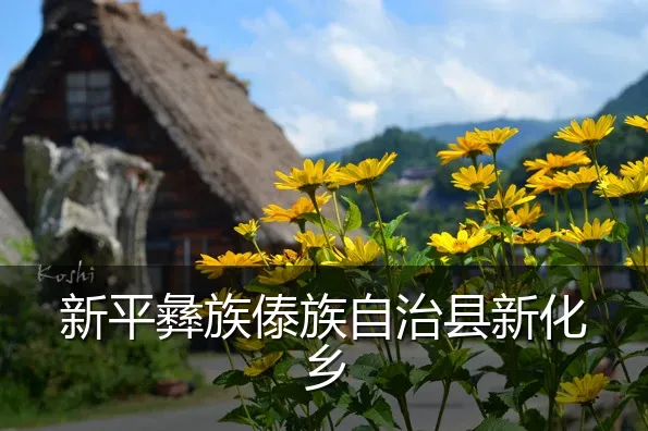 新平彝族傣族自治县新化乡