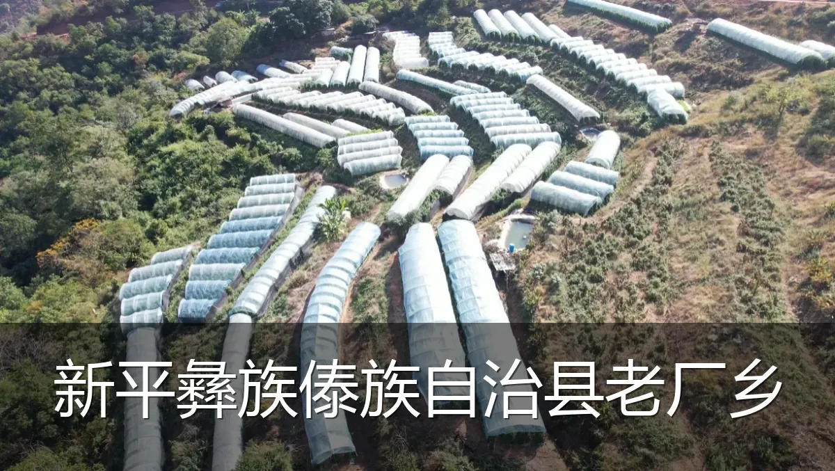 新平彝族傣族自治县老厂乡